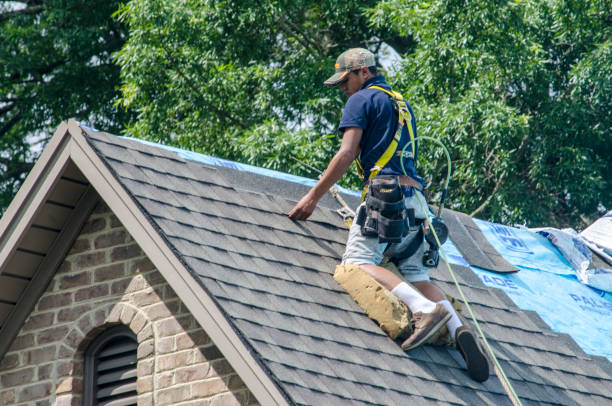 Roof Gutter Cleaning in Riverdale, CA